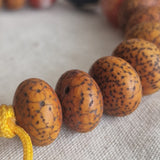 Genuine Himalayan Star Moon Lotus Seed Bracelet with Dzi Agate Bead