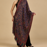 Fine Silk and Wool Paisley Shawl – Kalamkari style