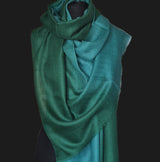 Beautiful Ombre 100% Pure Luxury Soft Kashmir Pashmina Stole - Peacock Feather