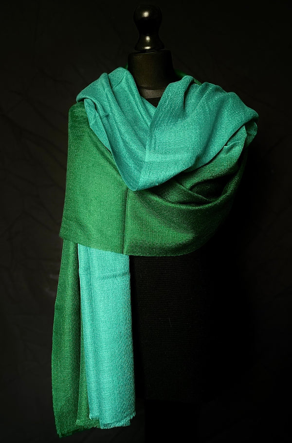 Beautiful Ombre Pure Luxury Soft Kashmir Pashmina Stole - Peacock Feather