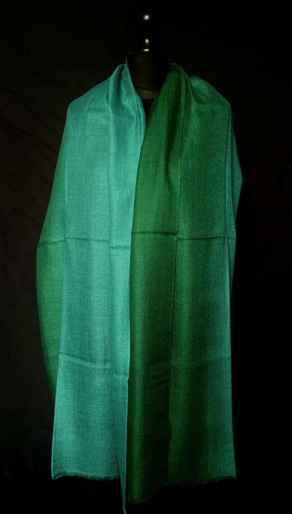 Beautiful Ombre Pure Luxury Soft Kashmir Pashmina Stole - Peacock Feather