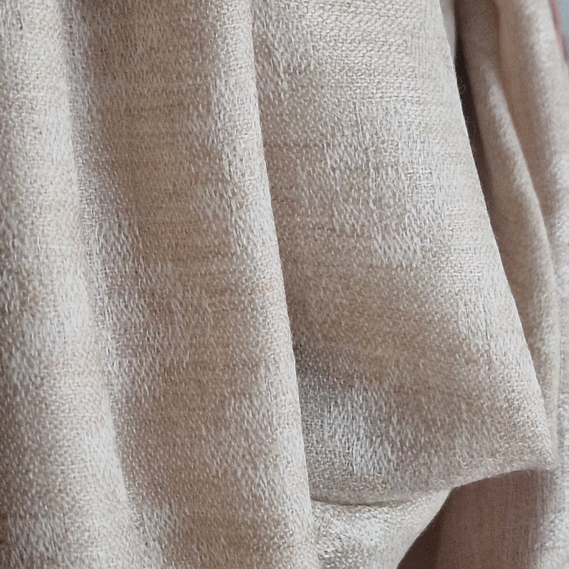 Luxury Beige Pashmina Stole with Kullu Woven Palla – Timeless Style